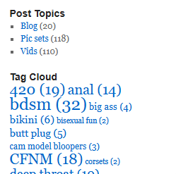 Text showing some sexy tags and post topics on LustyLucyBanned.com